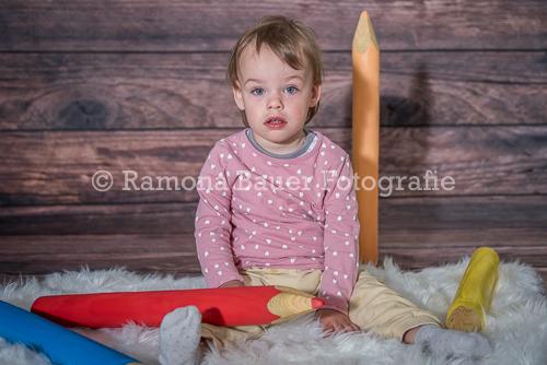 RBF 2339